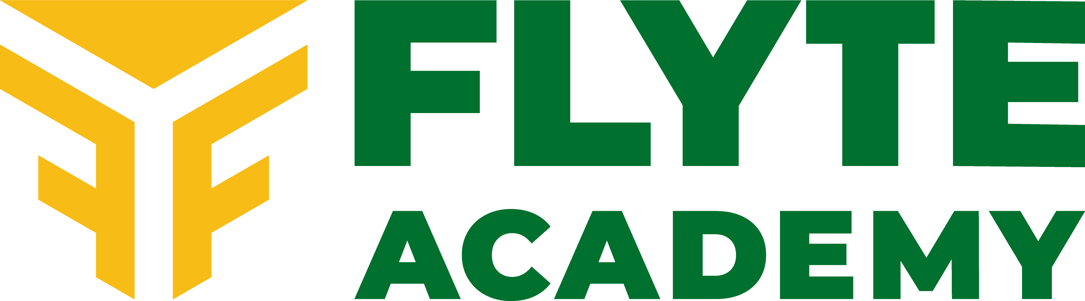 Flyte Academy